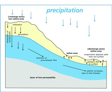 Development of soil salinity