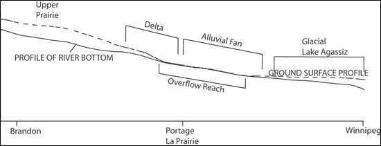 Figure 7: Generalized profile of the Assiniboine River to illustrate the topography and the major features, such as the Assiniboine Delta and the alluvial fan that the Assiniboine River crosses between Brandon and Winnipeg.