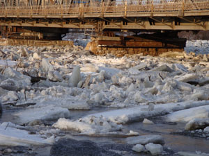 Ice jam at Louise Bridge, April 11 2009