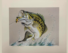 Linda Mason -- “Smallmouth Strike”