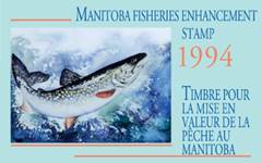 Lisa Rae Minuk -- 
“Watercolours – Lake Trout”