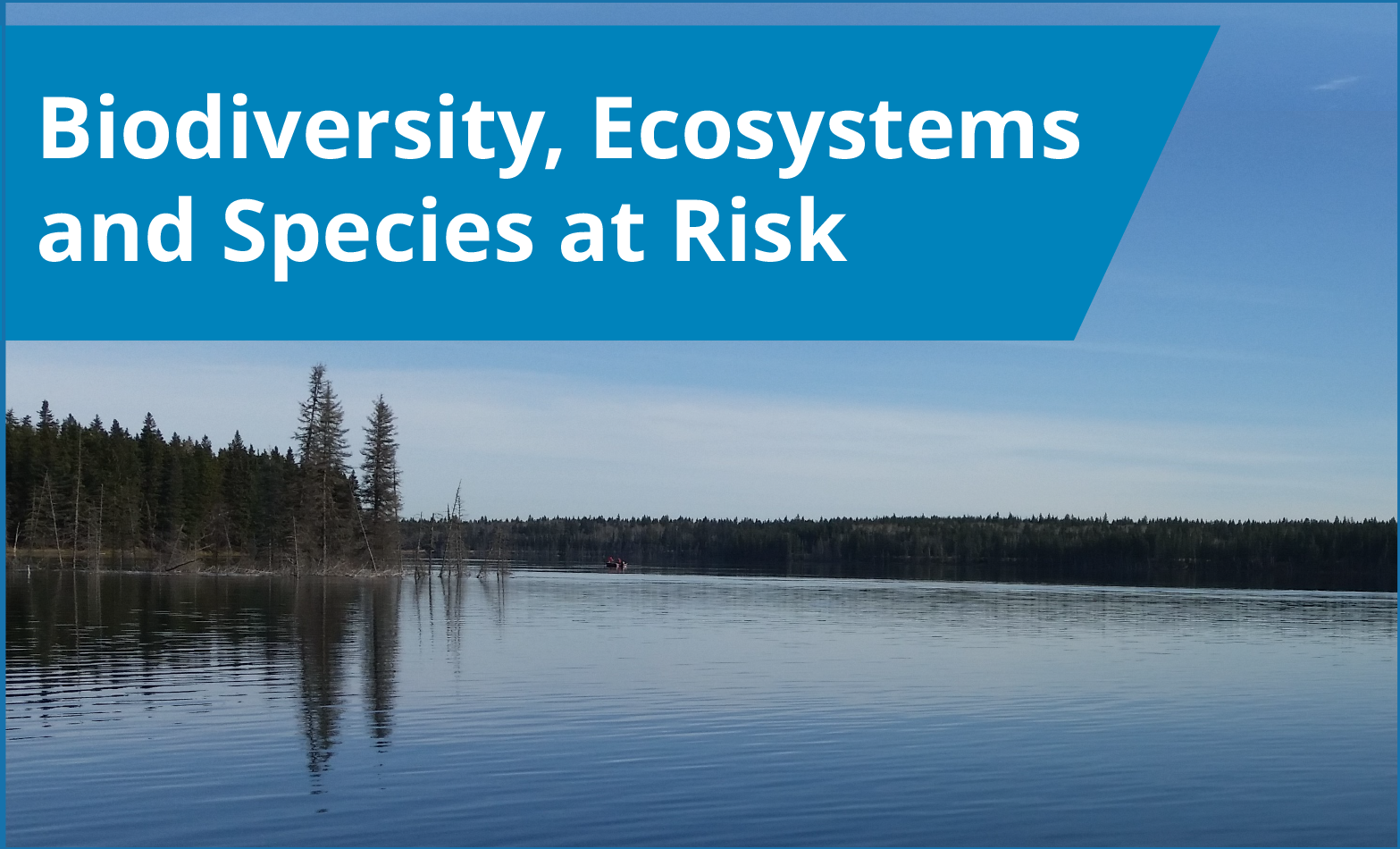 Biodiversity, Ecosystems and Species at Risk